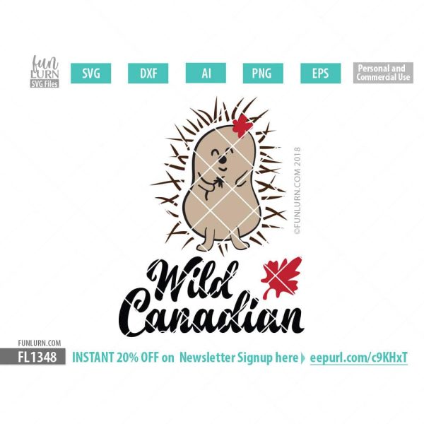 Wild Canadian Cute Porcupine SVG